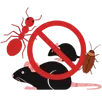 General Pest Control Craigieburn